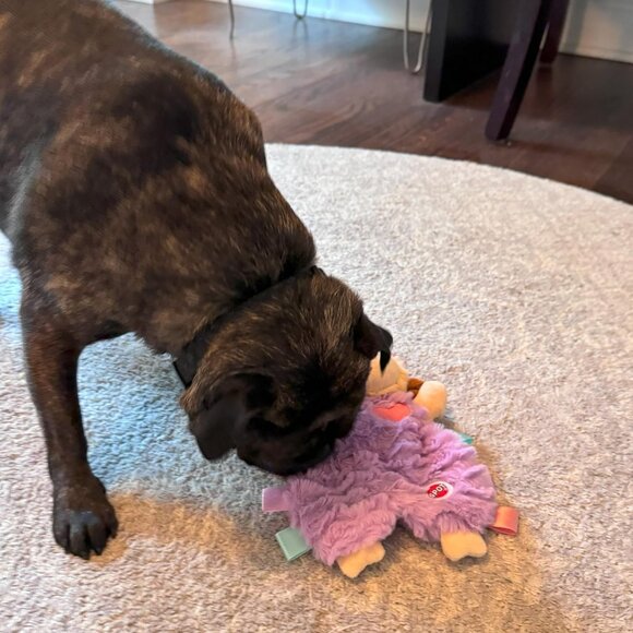 Soothers- Tabbie Lambie Dog Toy-Separation Anxiety Toys for Dogs, Stuffing Free, - Picture 6 of 9